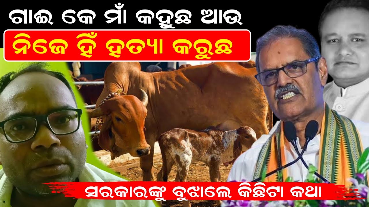 ଗାଈ କେ ମାଁ କହୁଛ ଆଉ ନିଜେ ହିଁ ହତ୍ୟା କରୁଛ ।। ସରକାରଙ୍କୁ ବୁଝାଲେ କିଛିଟା କଥା