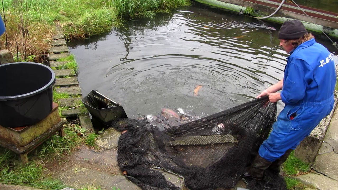 Hvilested 2018-09-30