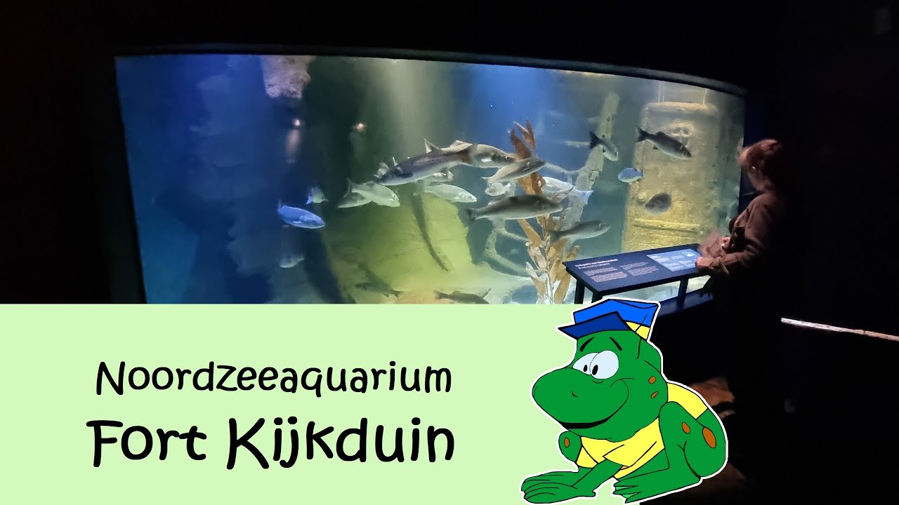 Noordzeeaquarium Fort Kijkduin