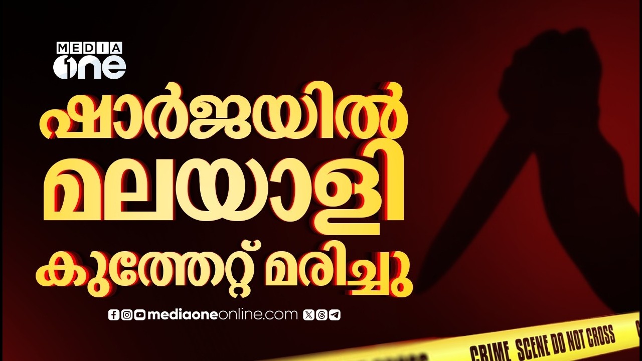 TikTok challenge: Malayali stabbed to death in Sharjah