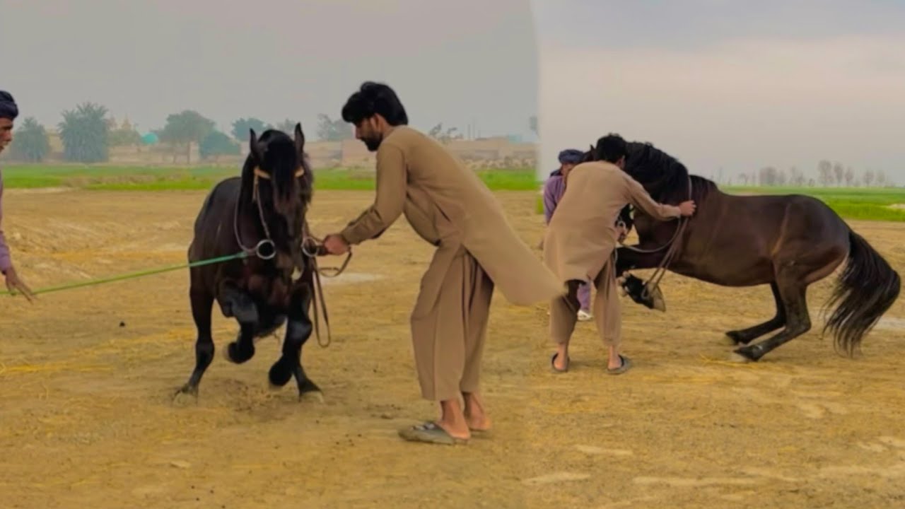 Karael ko training di ma Shaa Allah bht zabardast aya...