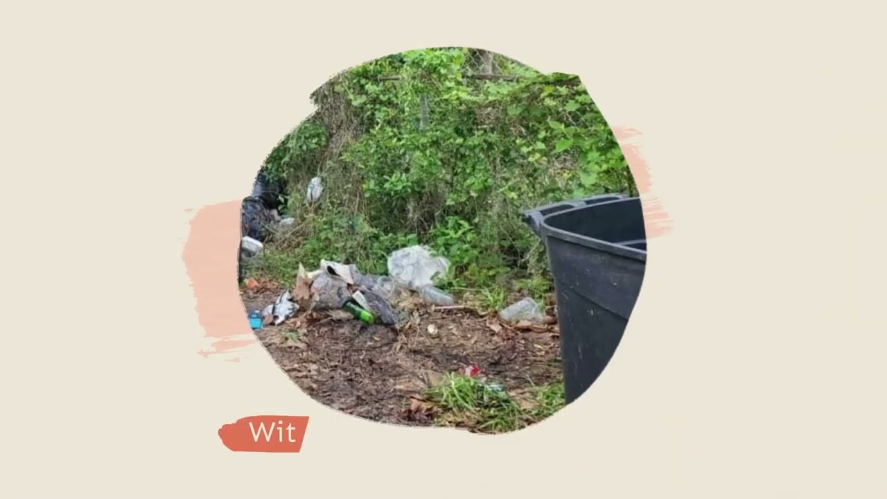 Affordable Junk Removal Pine Ridge FL with Junk It All