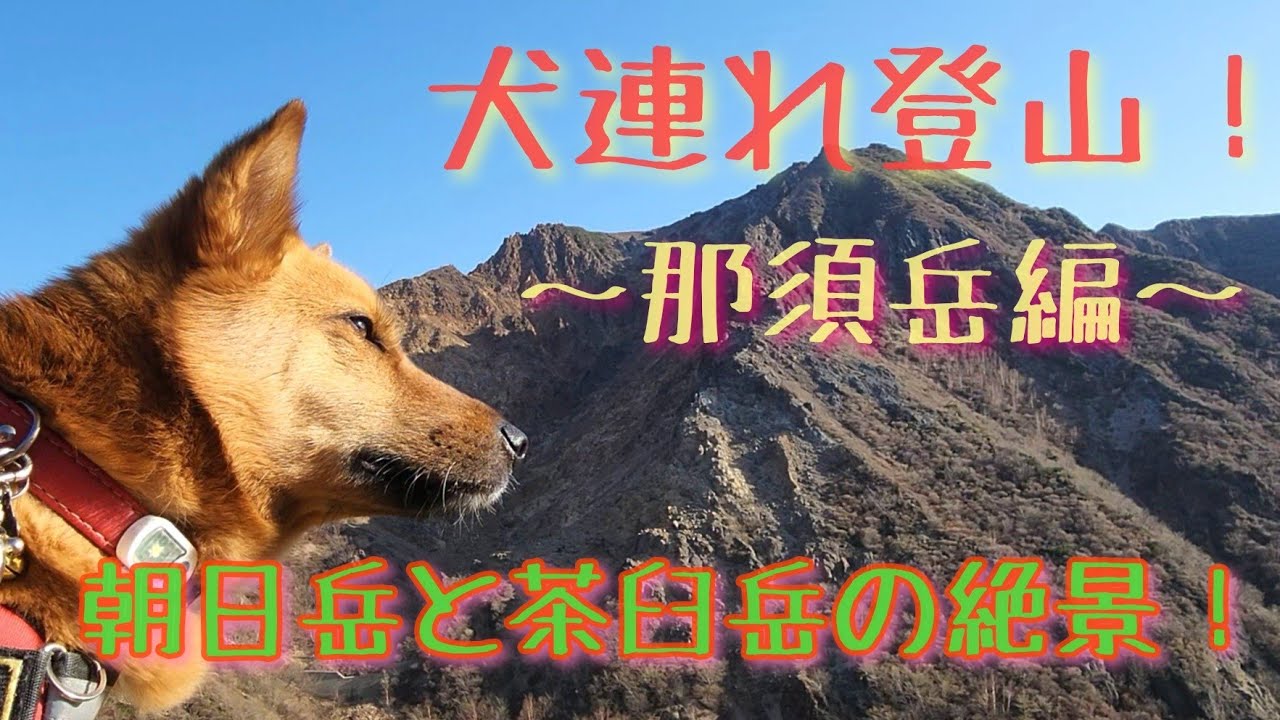 【犬連れ登山！】那須岳編。朝日岳と茶臼岳の絶景！