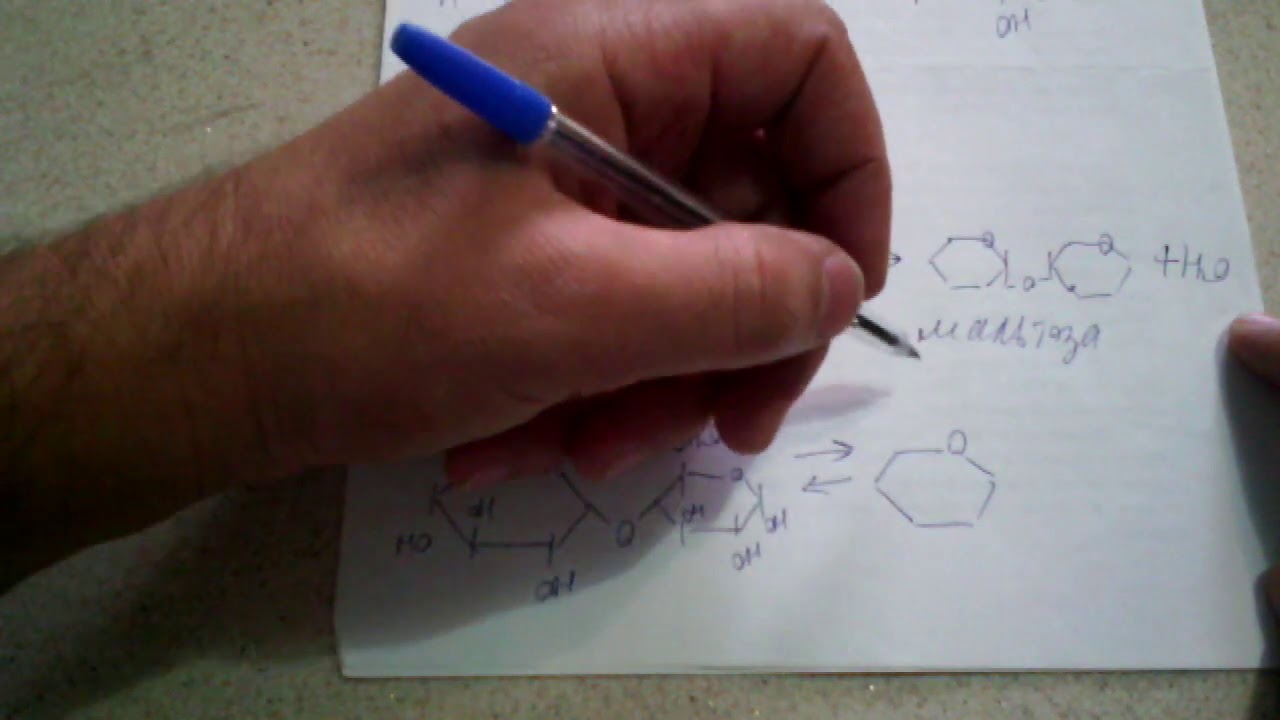 266.  Что такое дисахариды