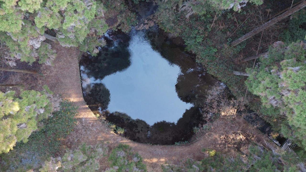 陣の池小池 ドローン空撮
