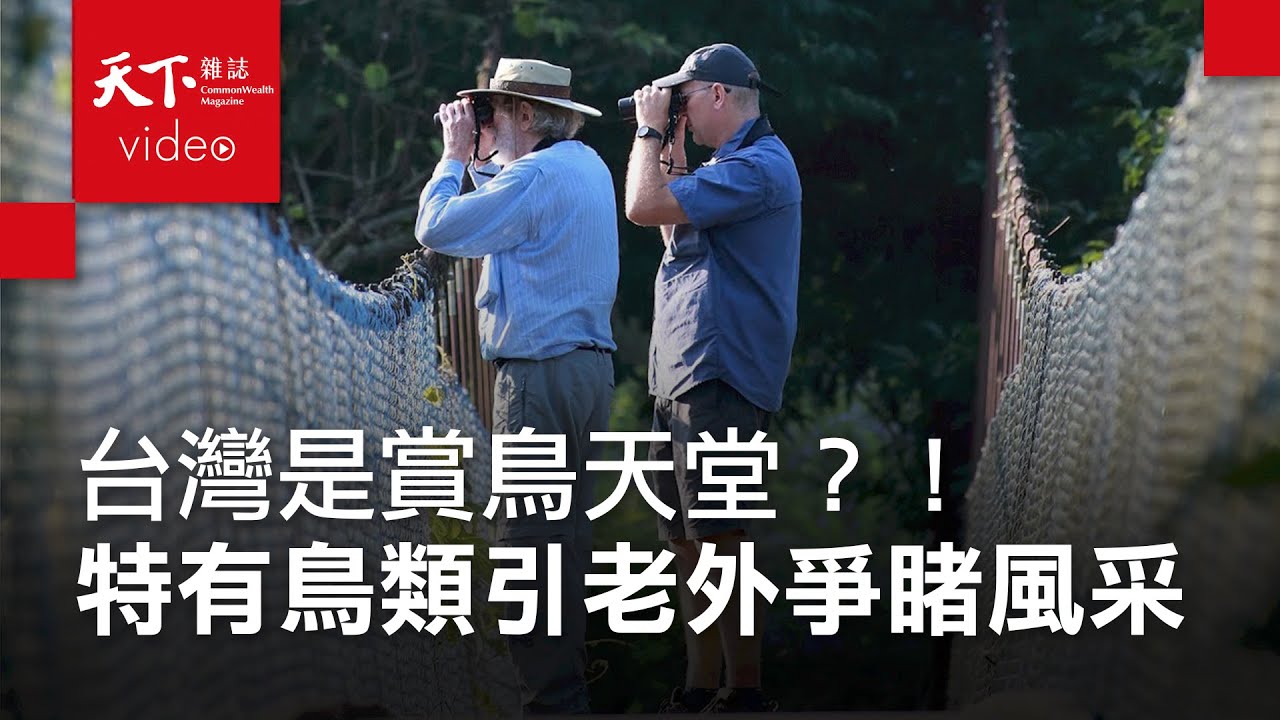 【美麗台灣行】台灣27種特有種鳥類，讓國際鳥友癡迷追星