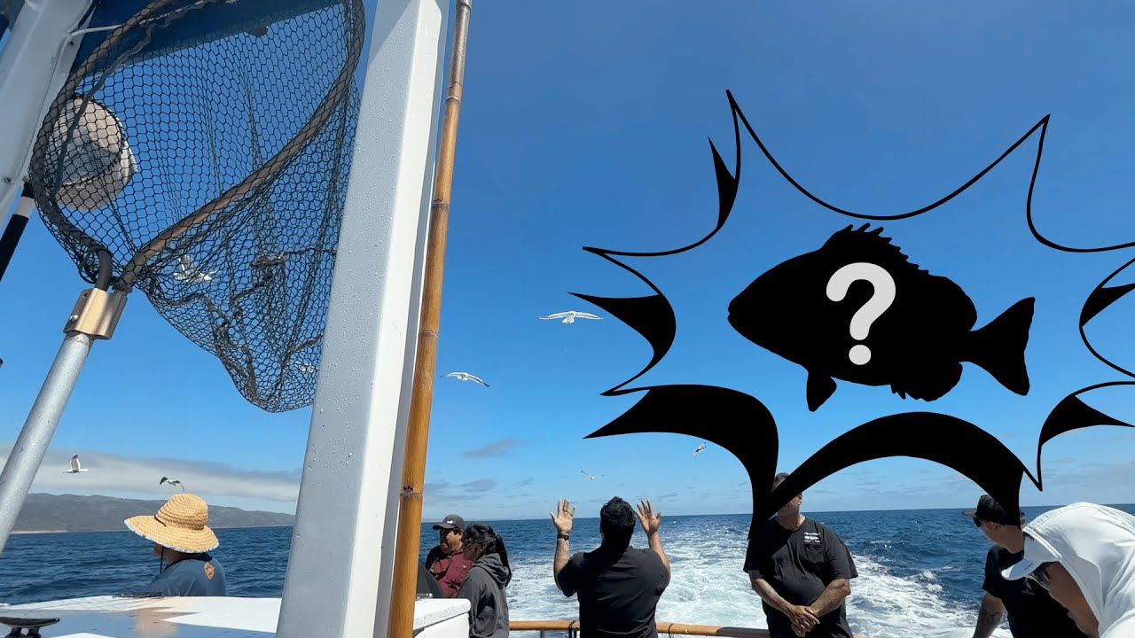 First Time Fishing Offshore!! 🐟 | Dana Wharf Sportfishing, San Clemente | Catch and Cook Part I