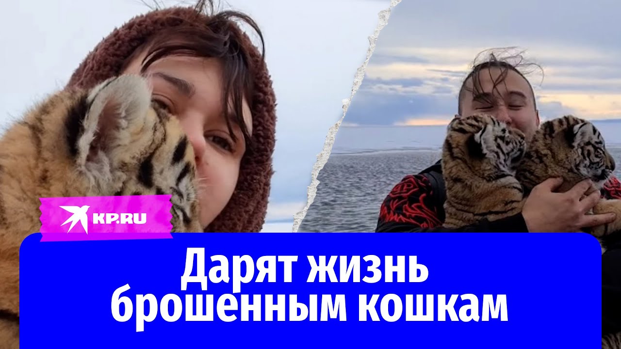 Рай для тех, от кого все отказались: семья выхаживает брошенных больших кошек