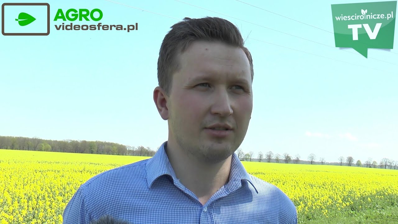1300 ha, 1000 sztuk bydła i rekordowa wydajność