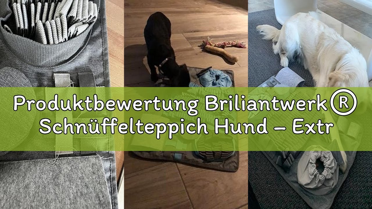 Produktbewertung Briliantwerk®️ Schnüffelteppich Hund – Extrem widerstandsfähiges Material - 10 Trai