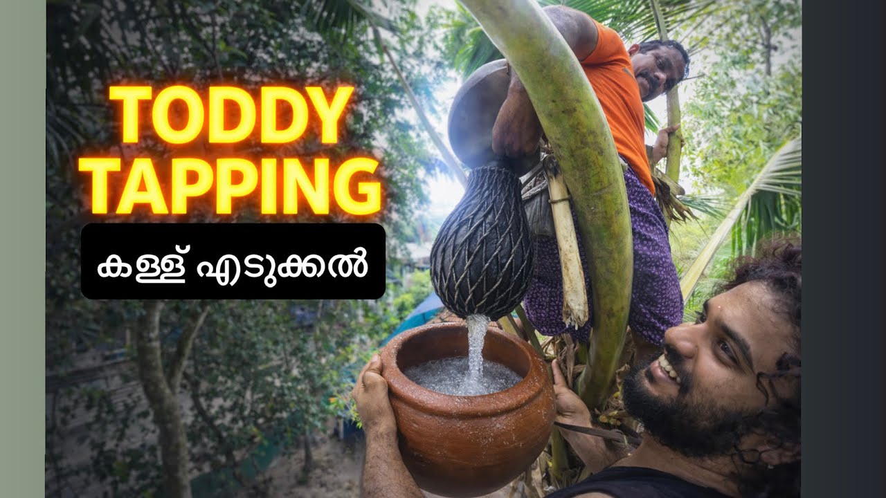 TODDY TAPPING &ndash; A Kerala Tradition (കള്ള്) Alottalcohol | Sherinapi Films