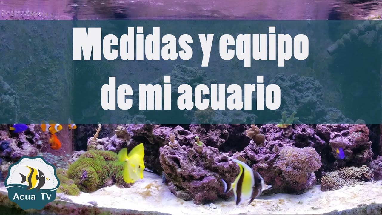 Medidas y equipo de mi acuario