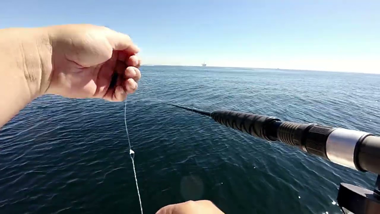 Rock fish opener