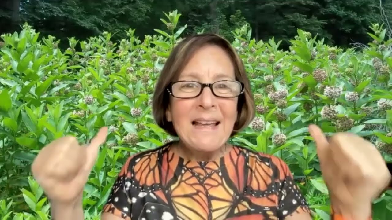 How to Raise Monarch Butterflies A Step-by-Step Guide For Kids