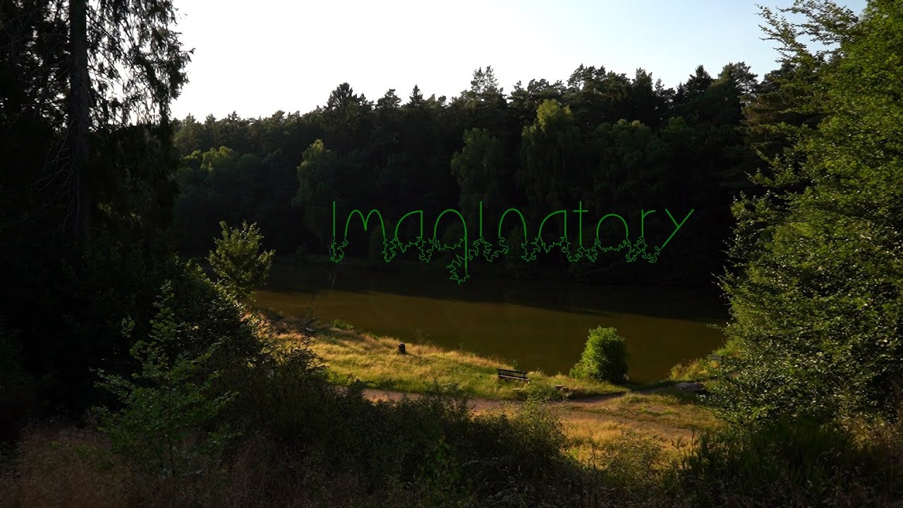 The forest is dancing. 5 Minute Nature Meditation: Imaginatory