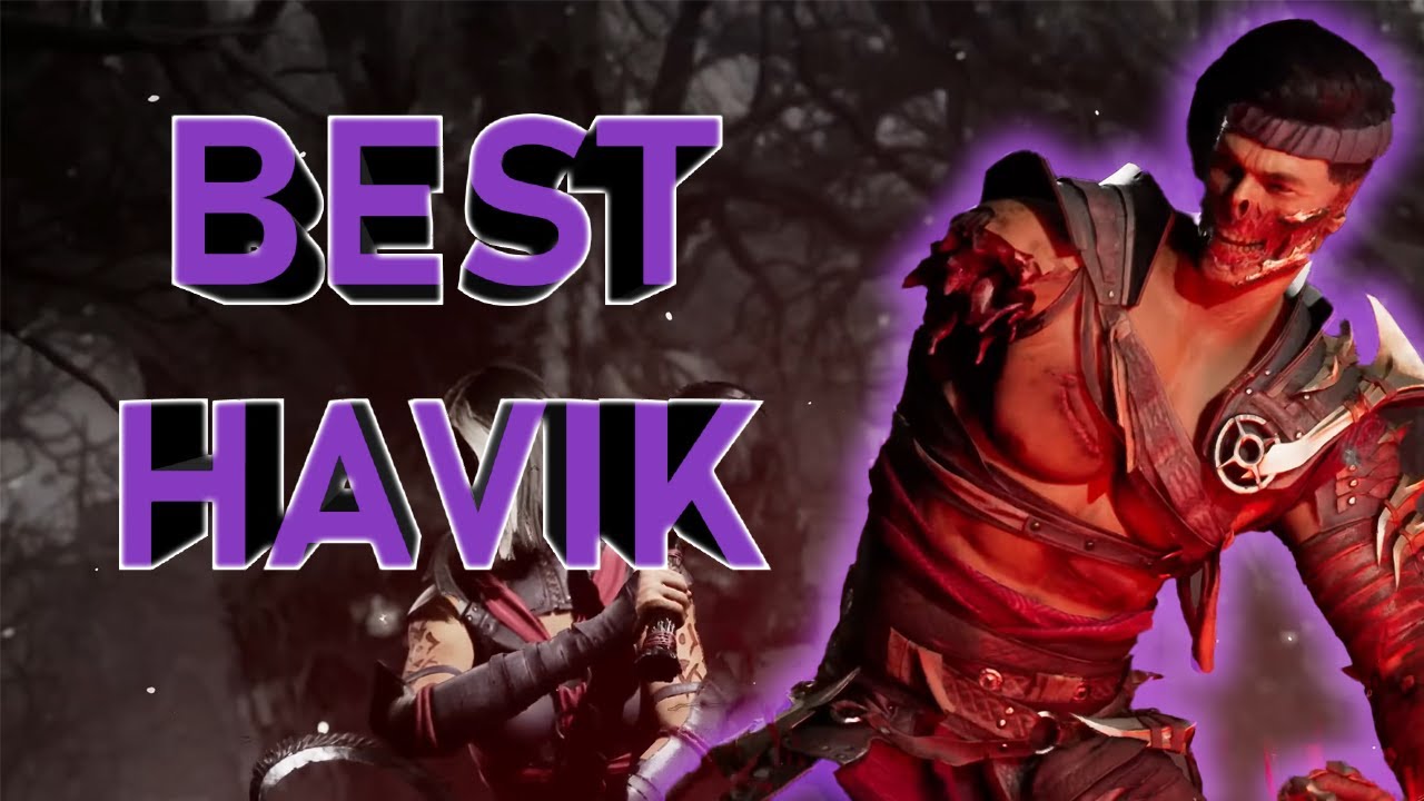 AFTER PLAYING THE BEST HAVIK IN THE WORLD HE DOESNT NEED BUFFS (Ft. WizeGemini)