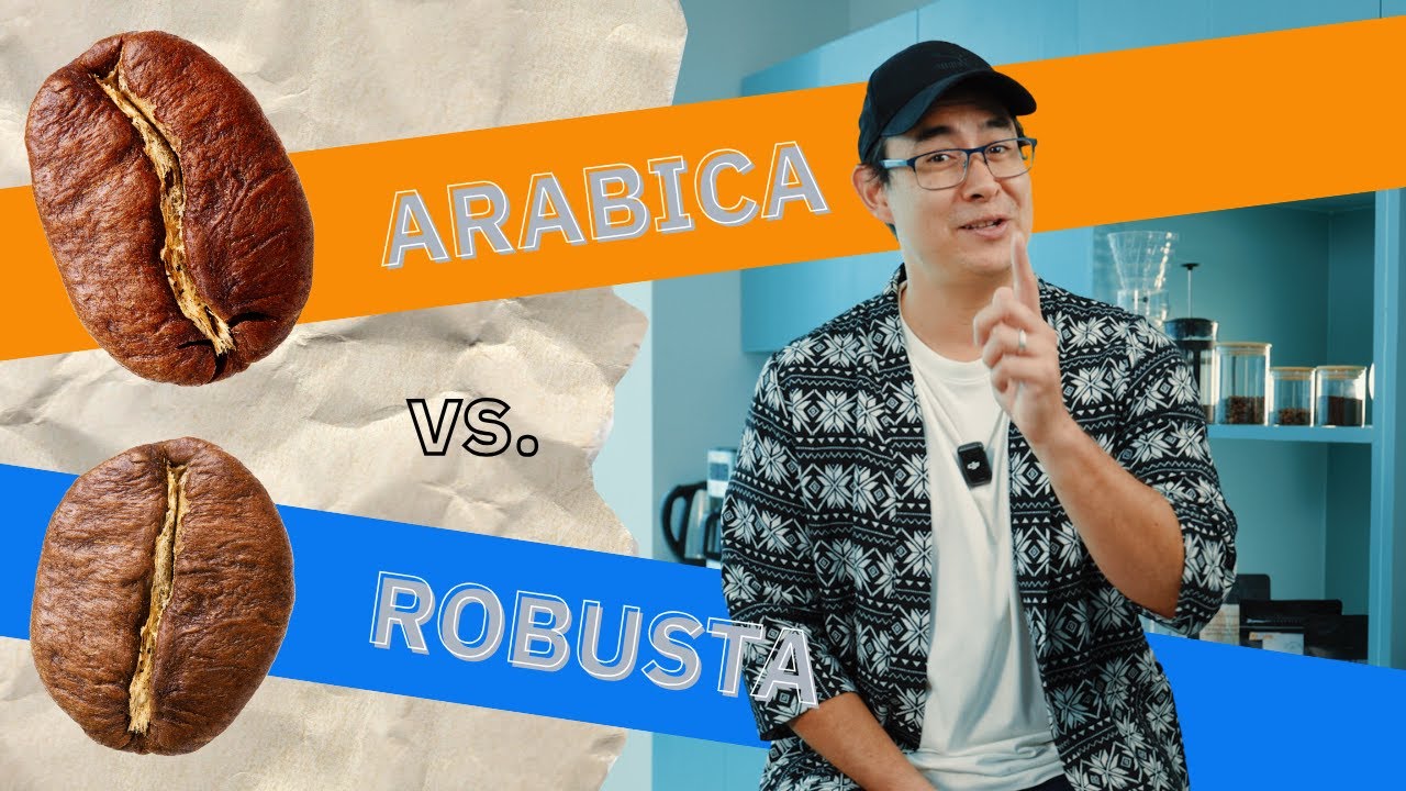 Arabica vs. Robusta Coffee Beans: What's The Difference?