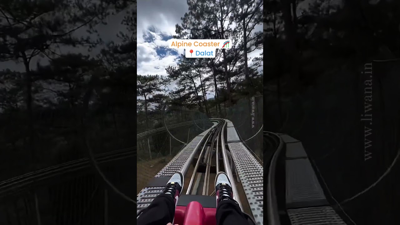 Top 6 Must-Do Activities in Vietnam 🇻🇳 #travel #vietnam #bucketlist #adventure