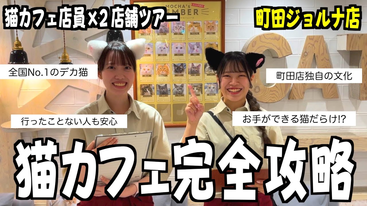 【下見用】猫カフェ店員が猫カフェの楽しみ方教えます！町田ジョルナ店編
