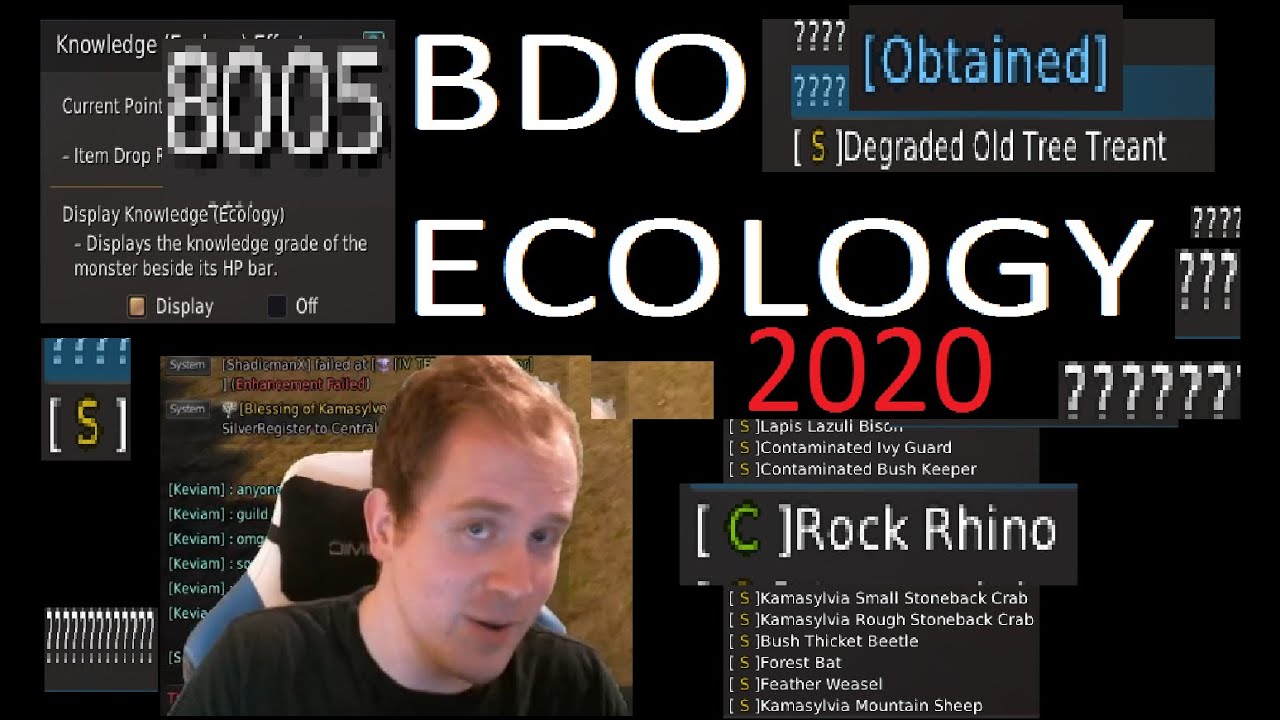BDO Ecology | My Tips & Tricks After Reaching 8K (November 2020)
