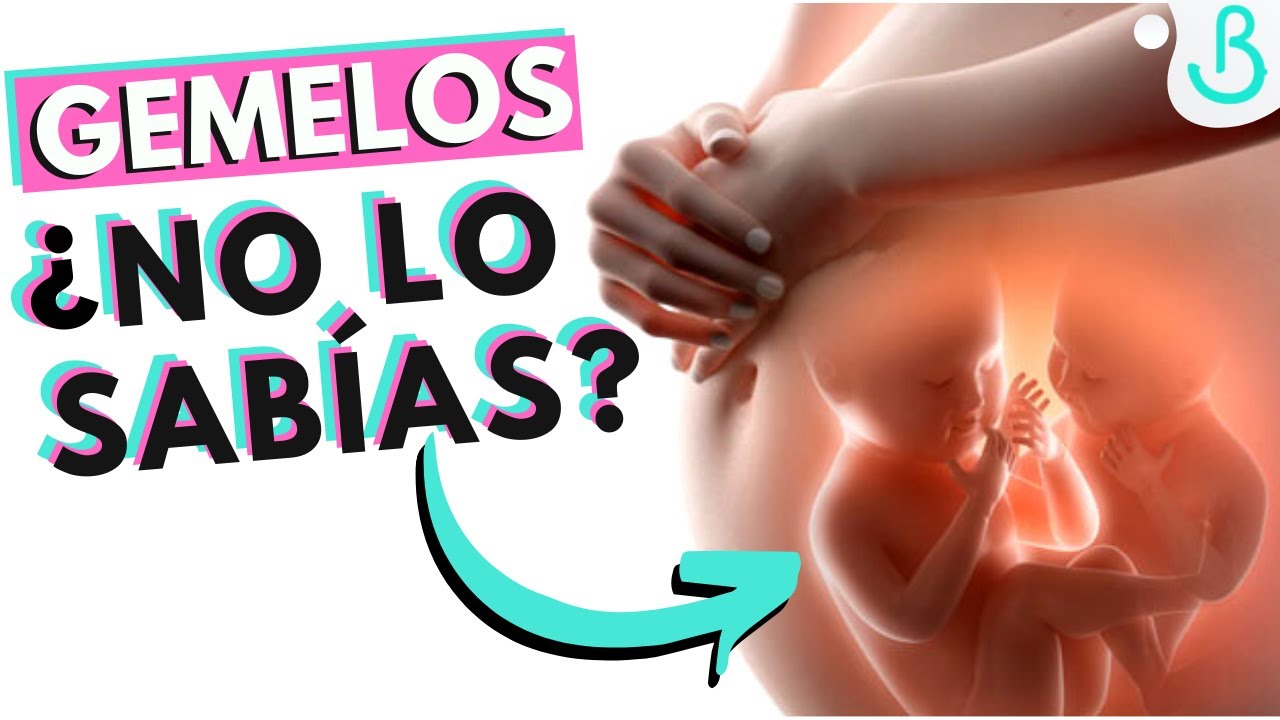 👶🏼👶🏻9 CURIOSIDADES SOBRE EL EMBARAZO GEMELAR || Baby Suite by Pau