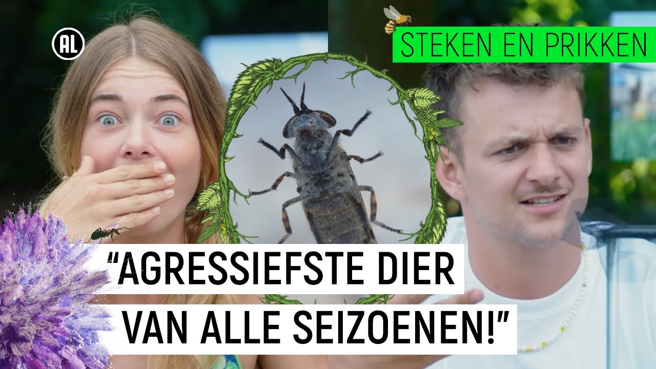 REGENDAAS VLIEGT WEG MIDDEN IN OPNAMES?! | Steken & Prikken | seizoen 3 #7 | NPO Zapp