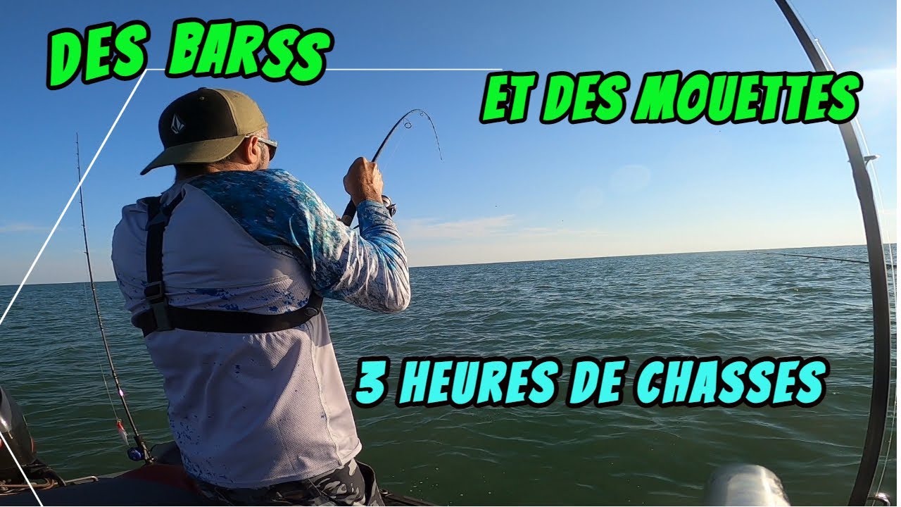 enfin une peche sur chasses