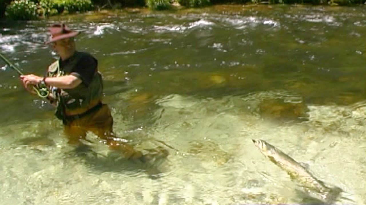 Pecanje pastrmke reka Lepena u Sloveniji - Mušičarenje | Fly fishing in Slovenia