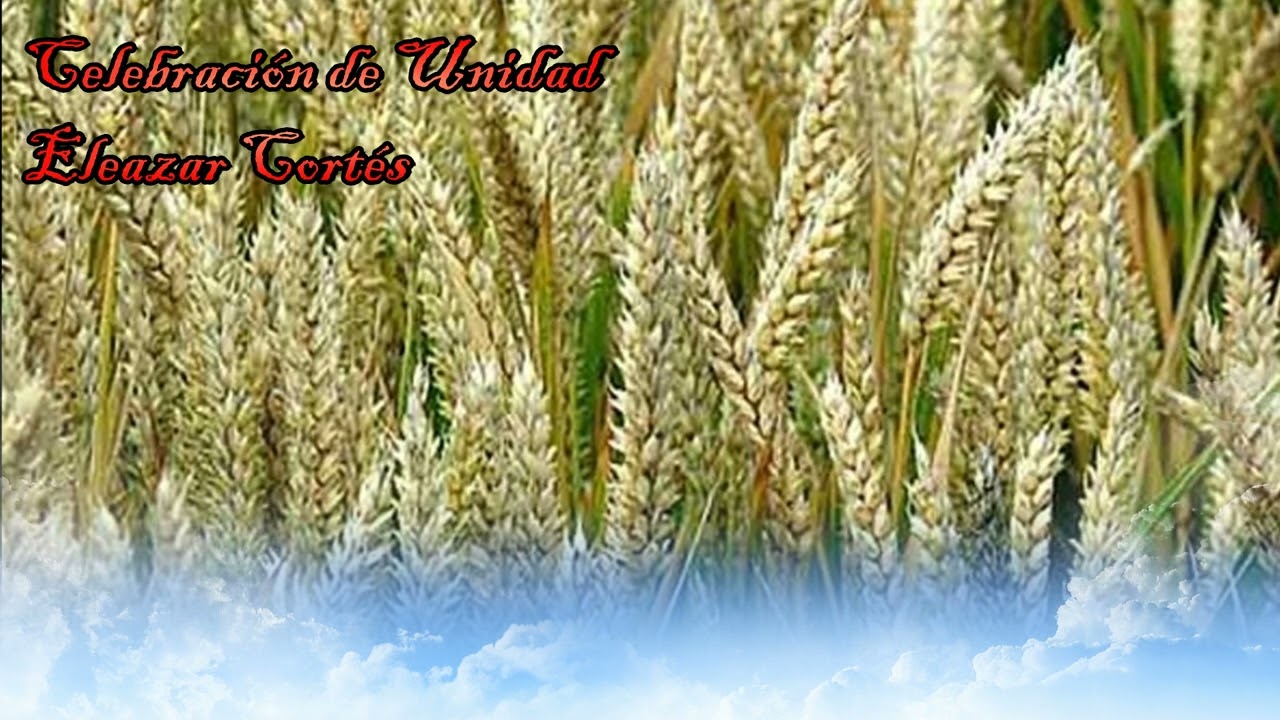 Celebración de Unidad - Eleazar Cortés