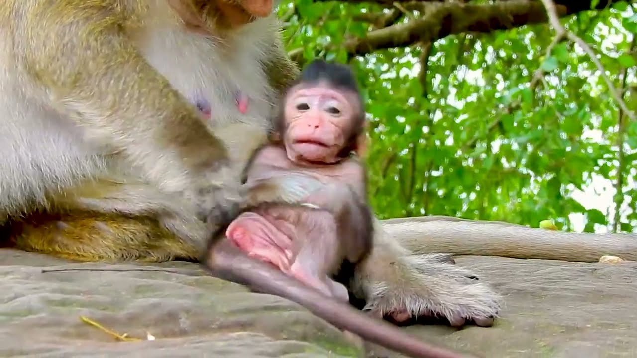 Need Milk Mama Please. Cute Baby Tia Ask Milk