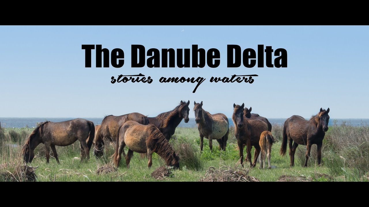 The Danube Delta - Stories among waters