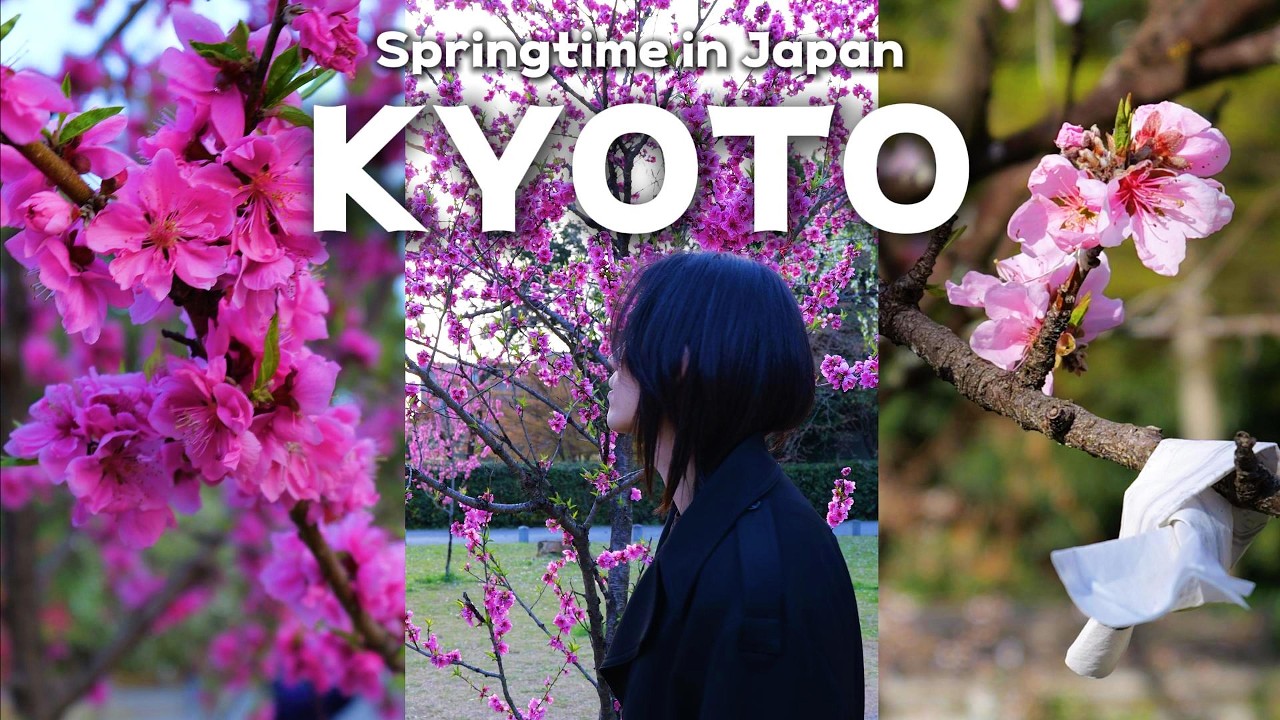 Весна в Киото | Видеоблог о путешествиях по Японии