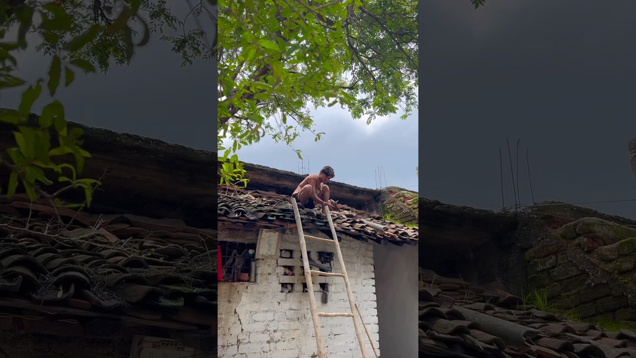 छानही लें गिरा दीच रे🤣😂#shorts #viralshorts #comedy #shortsfeed #cg #cgcomedy #trending #explore