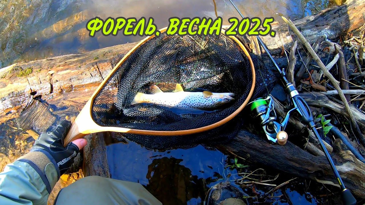 Весенняя форелька 2025.