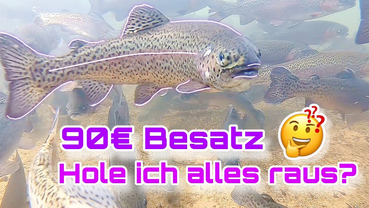 90&euro; Fischbesatz / Alleine am Weiher! Was kostet mich der Fisch zum Schluss?