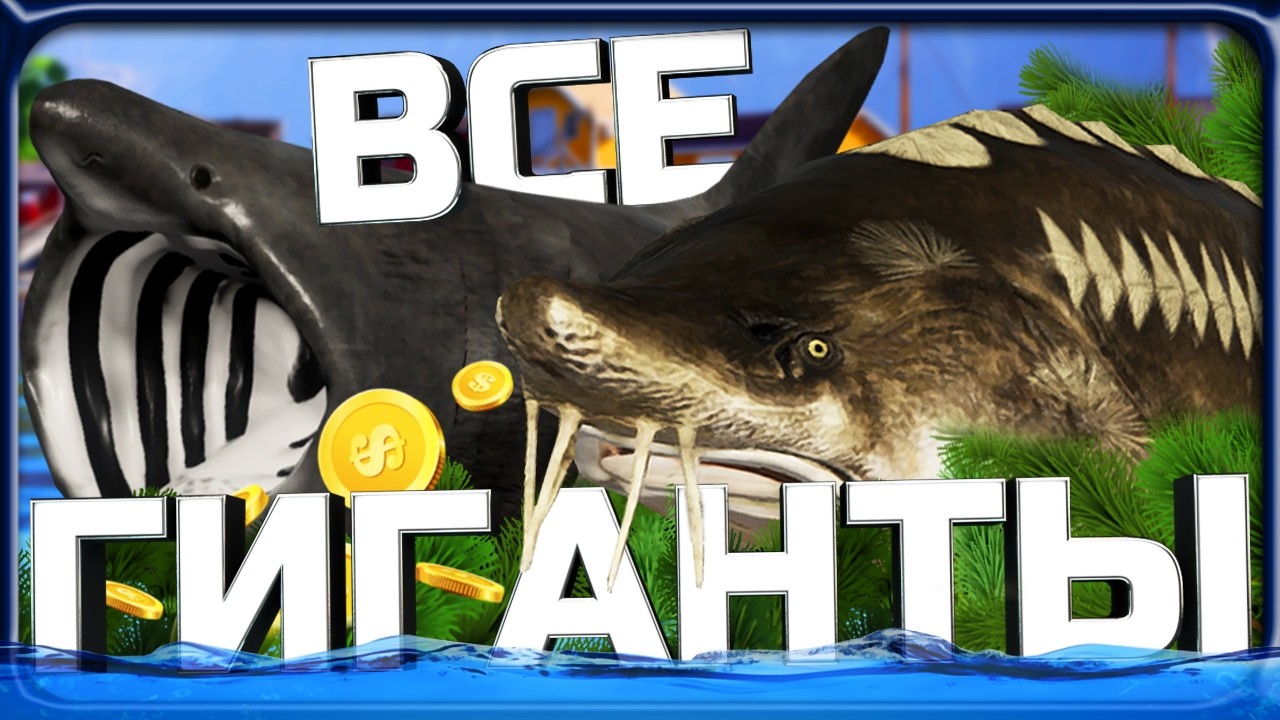 ВСЕ САМЫЕ ГИГАНТСКИЕ УЛОВЫ за ВСЮ ИСТОРИЮ МОЕГО АККАУНТА в РР4!
