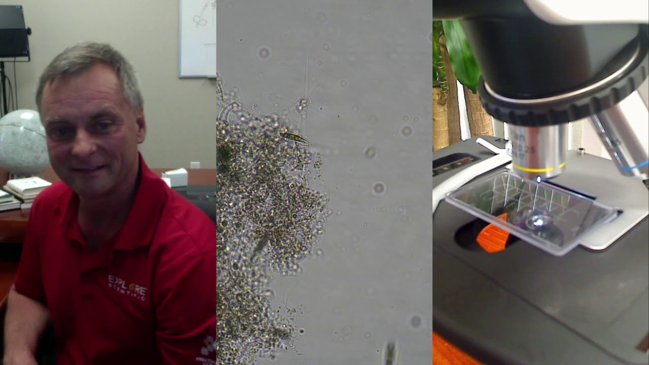 Digital Microscopy with the BRESSER Science Infinity Microscope