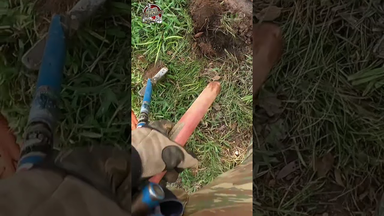 Detectorist Finds Hidden Coins, You Won't Believe What He Finds! 