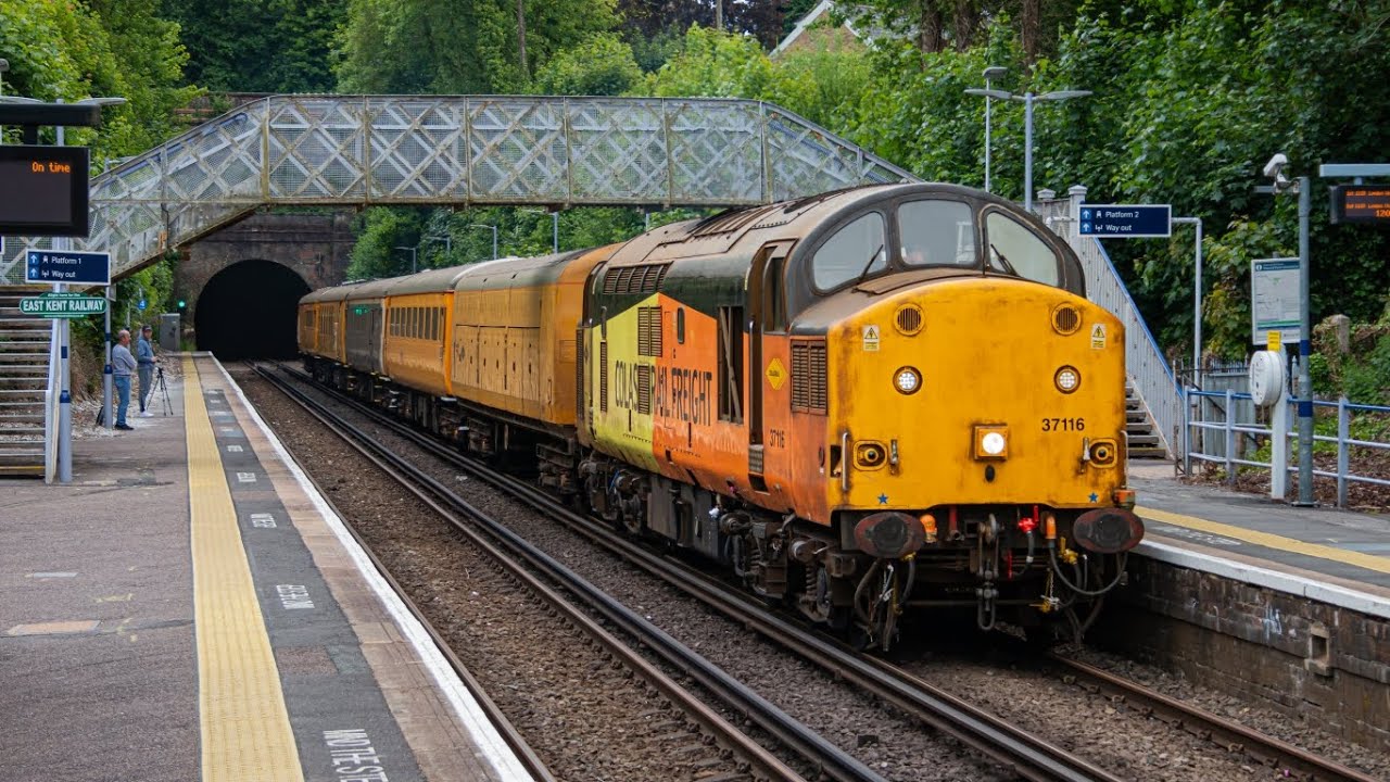 Test Trains in East Kent (Incl: 73961, 73963 and 37116) | 22/05/25