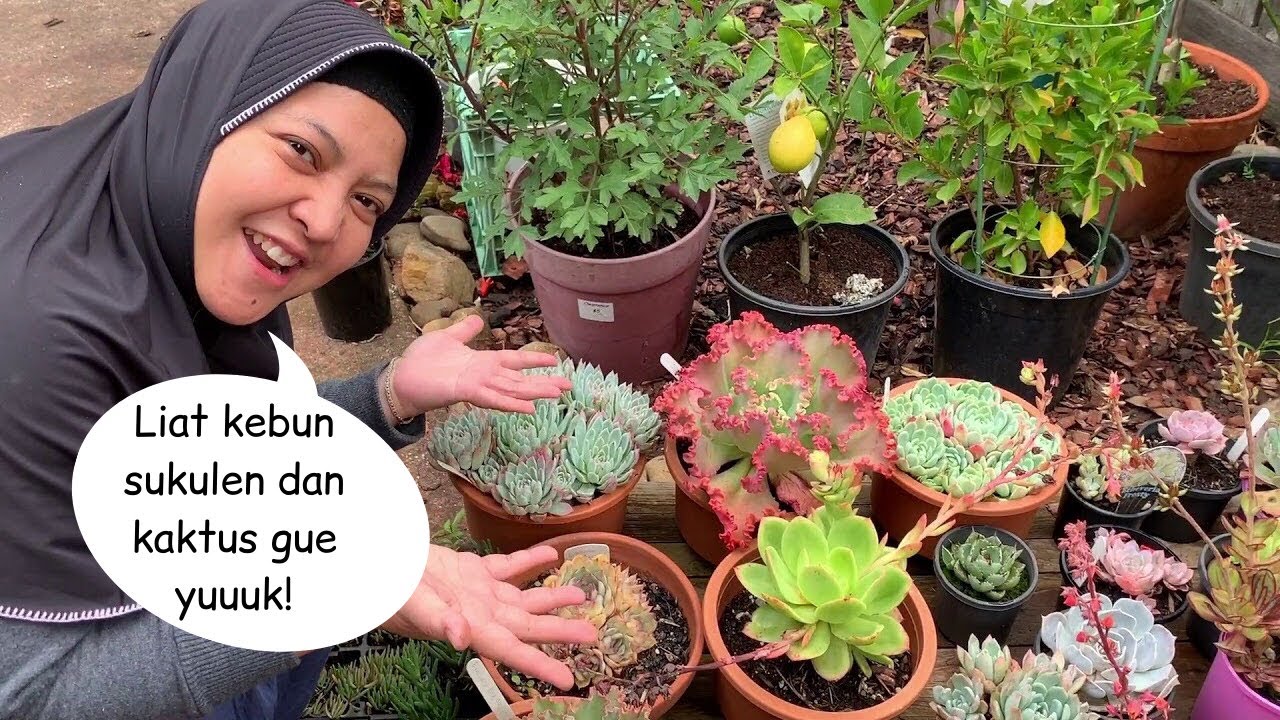 Tur Kaktus dan Sukulen di Musim Gugur April 2020