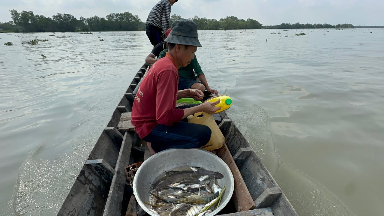 Cá Ngát kho Mắm chia tay Anh Năm về Tiền Giang 