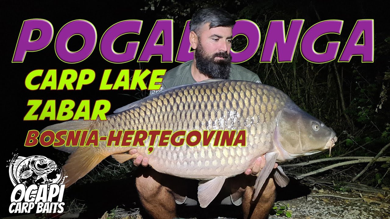 Pogadonga Lacul Zabar Septembrie 2023 Bosnia-Herțegovina Pescuit Plantat
