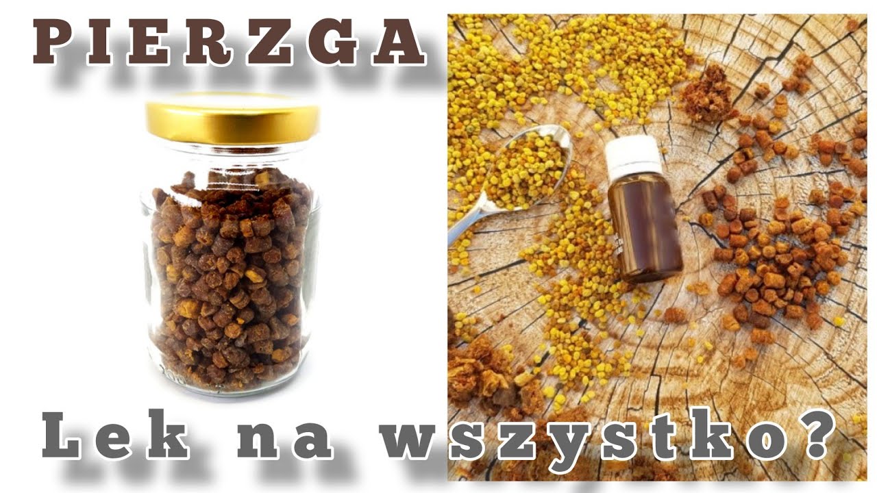 PIERZGA Pszczela Czy To Jest Lek na WSZYSTKO ? #pierzga #pszczela #pszczoły #medycyna