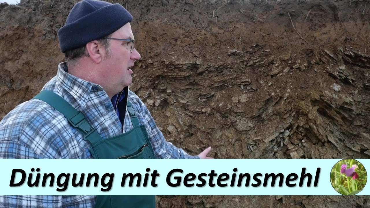 Düngung mit Gesteinsmehl