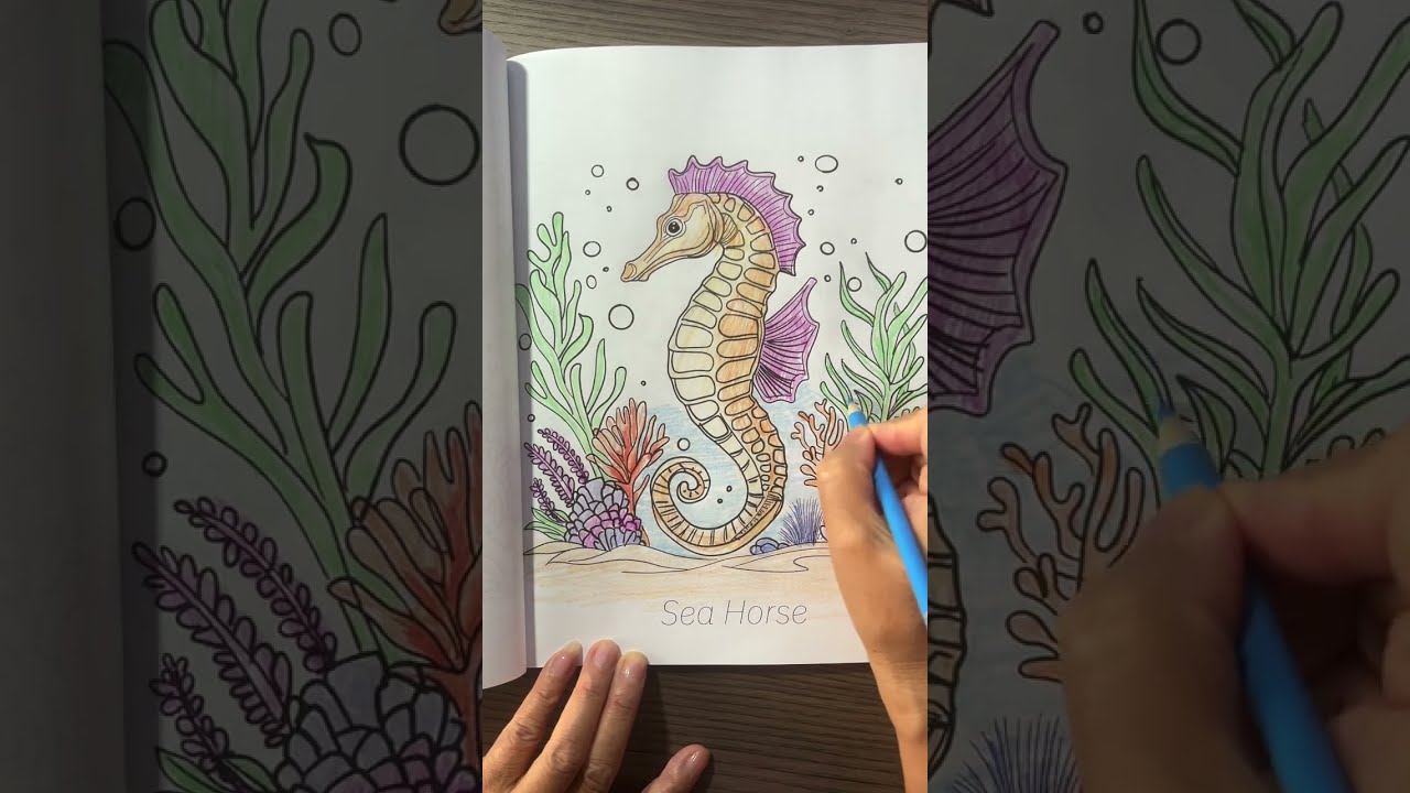 Coloring a Sea Horse page from Ocean Scenes Coloring Book.  January 4, 2026