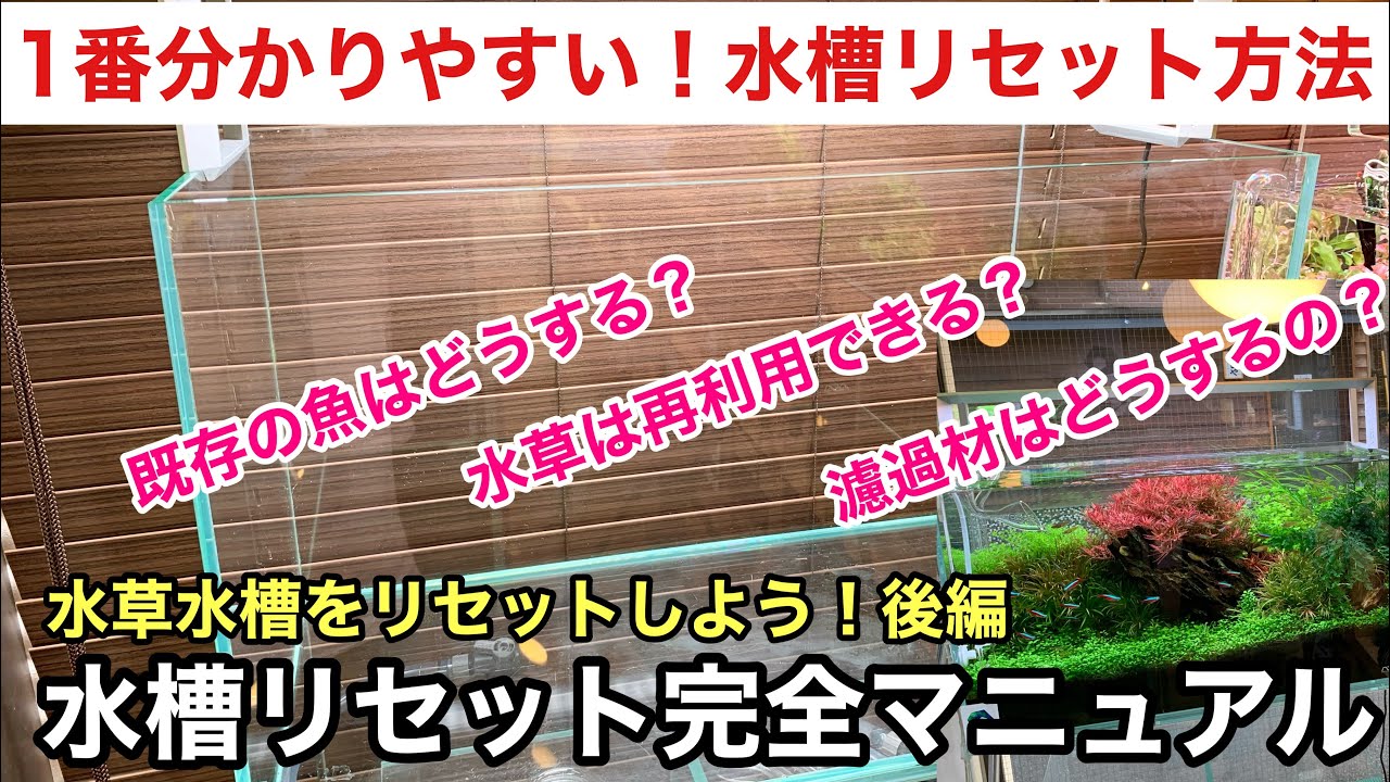 一番分かりやすい！水草水槽のリセット方法とその手順（後編）「初心者でも簡単！６０cm水槽のリセット過程、手順全てお見せします！」ADAネイチャーアクアリウム立ち上げ初心者、水草の育て方、コケ対策、藍藻