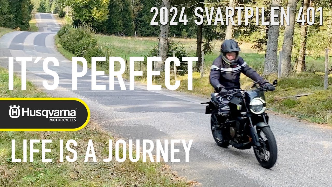 2024-2025 Husqvarna Svartpilen 401 - It´s Perfect