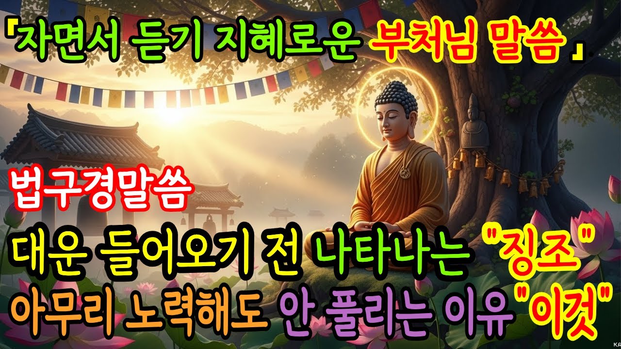 대운 들어오기 전 나타나는 징조 | 아무리 노력해도 안 풀리는 이유 | 자면서 듣는 부처님말씀#부처님말씀 #부처님가르침 #불교오디오북 #불교명언 #불교가르침
