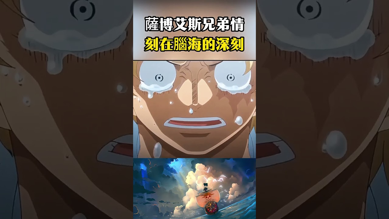 薩博與艾斯的兄弟情義是刻在骨子裏了吧，僅僅是聽到艾斯兩個字腦海的記憶就被喚醒#海賊王 #onepiece #luffy