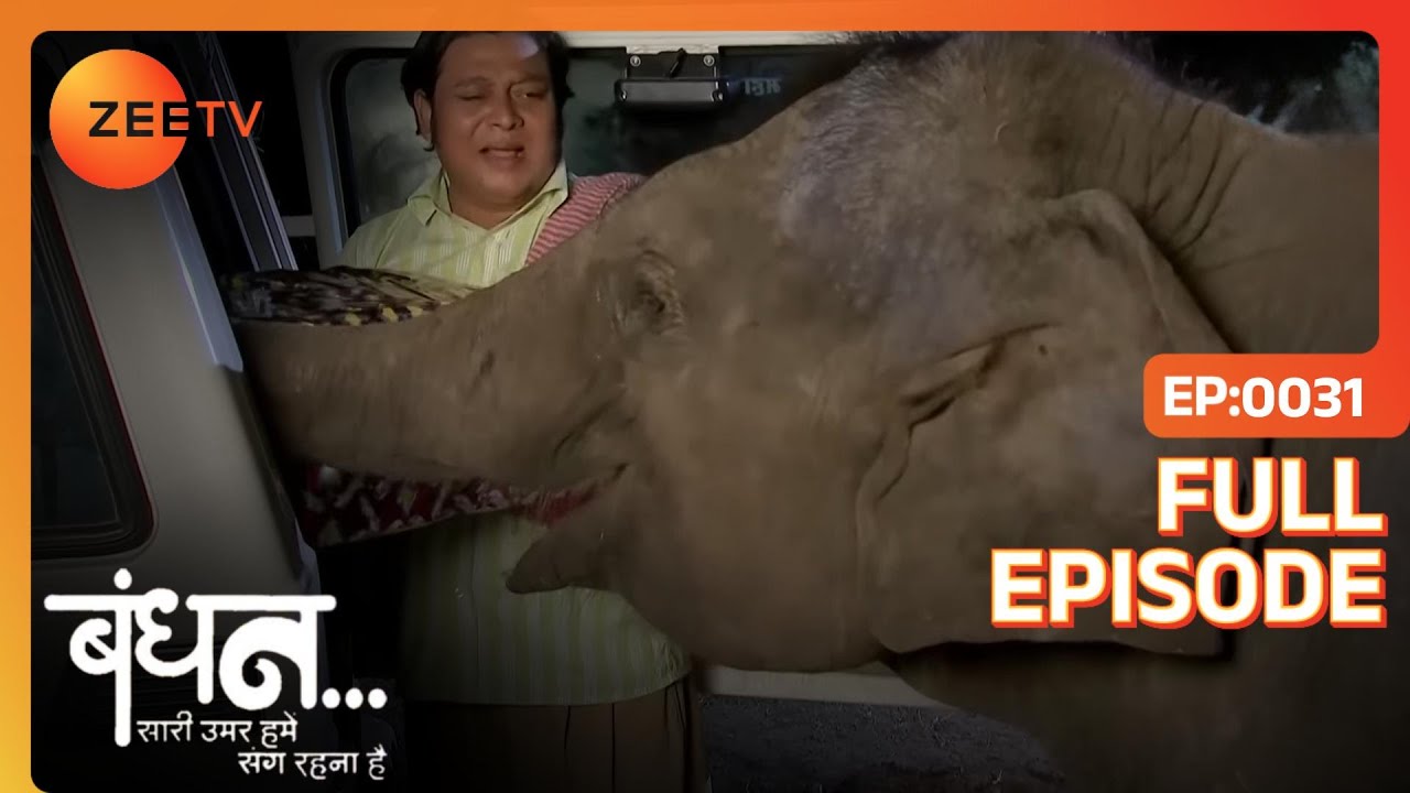 EP 31Бандхан Саари Умар Хьюмин Санг Рхна Хай - Индийское телешоу хинди - Же ТВ